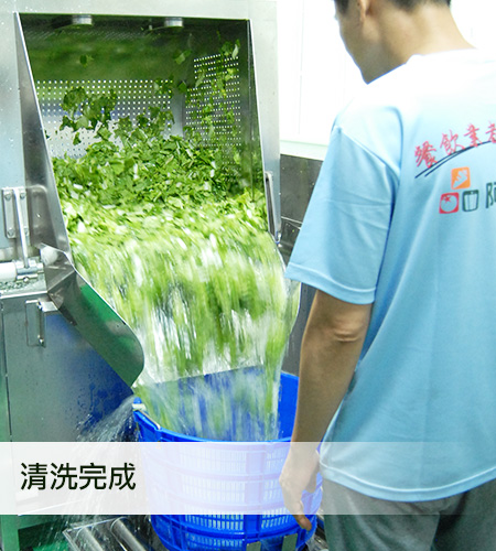 蔬菜清洗作業,三段式洗槽清洗過程